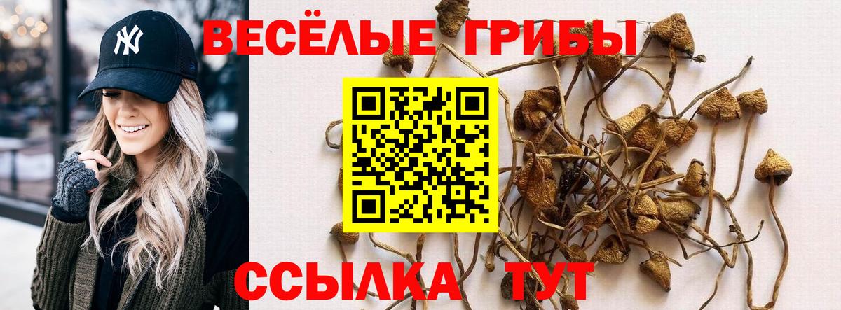 Псилоцибиновые грибы MAGIC MUSHROOMS Шуя